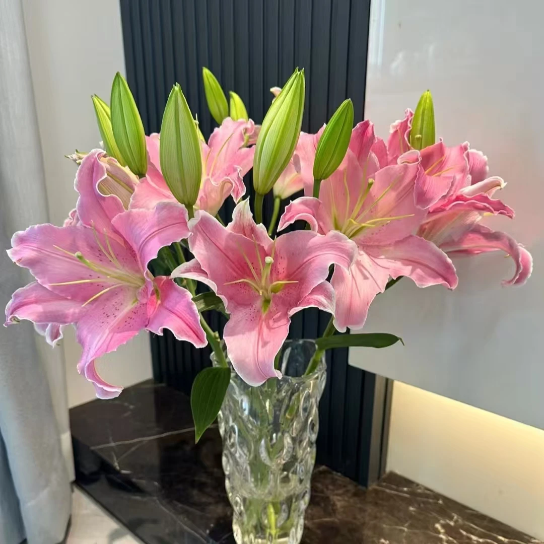 荷花双头百合【两单顺丰冷链或京东空运】 云南鲜花基地直发