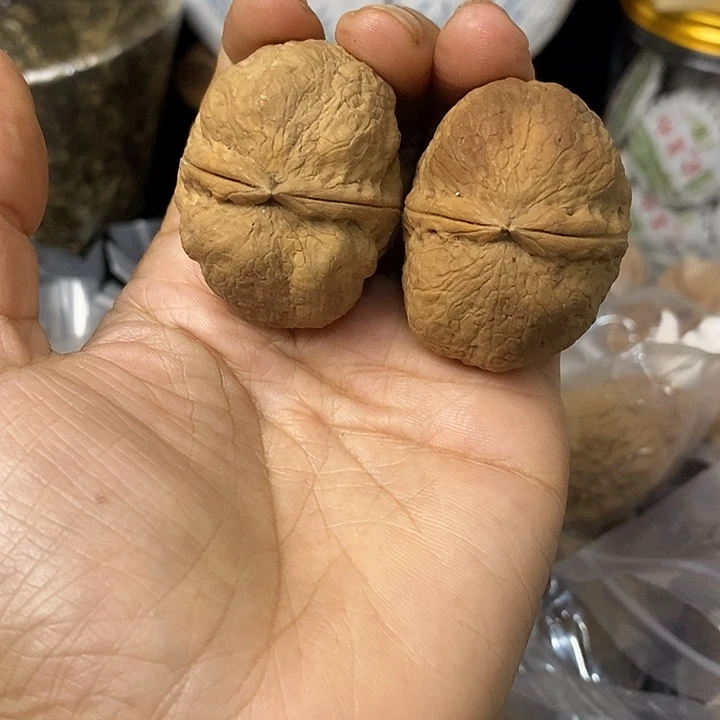 核桃云南铁核桃基地79