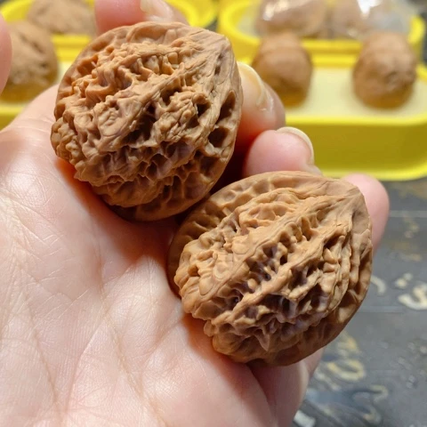文玩核桃把件野牛
