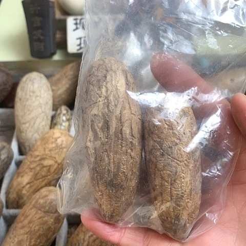 椰蒂吊坠千眼菩提原子