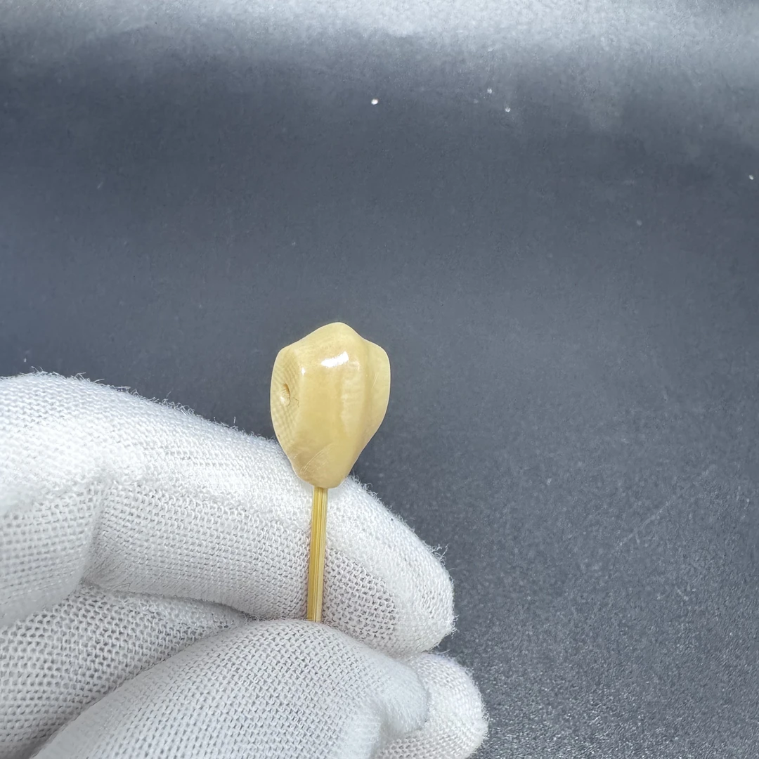 【闪购商品】T0018猛犸牙精品鲨鱼背三通配饰背云佩云配件