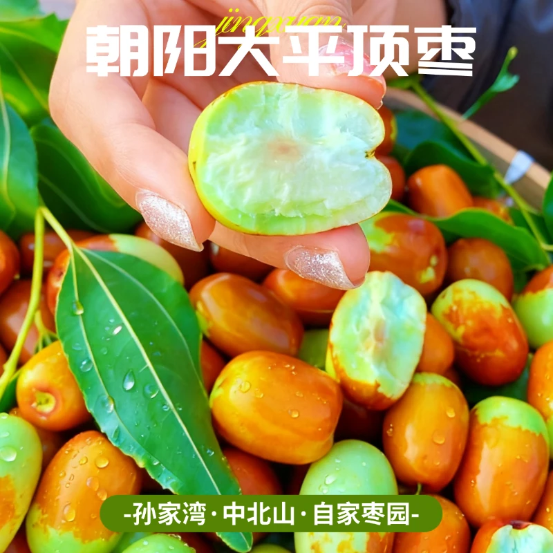 朝阳大枣冬枣孙家湾平顶甜枣鲜枣红枣新鲜正宗现摘新枣脆枣特产