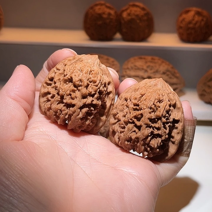 42全品满天星狮子头……