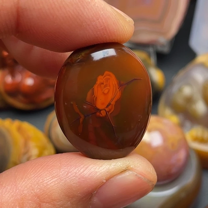 石***缘玛瑙/玉髓未镶嵌颈饰