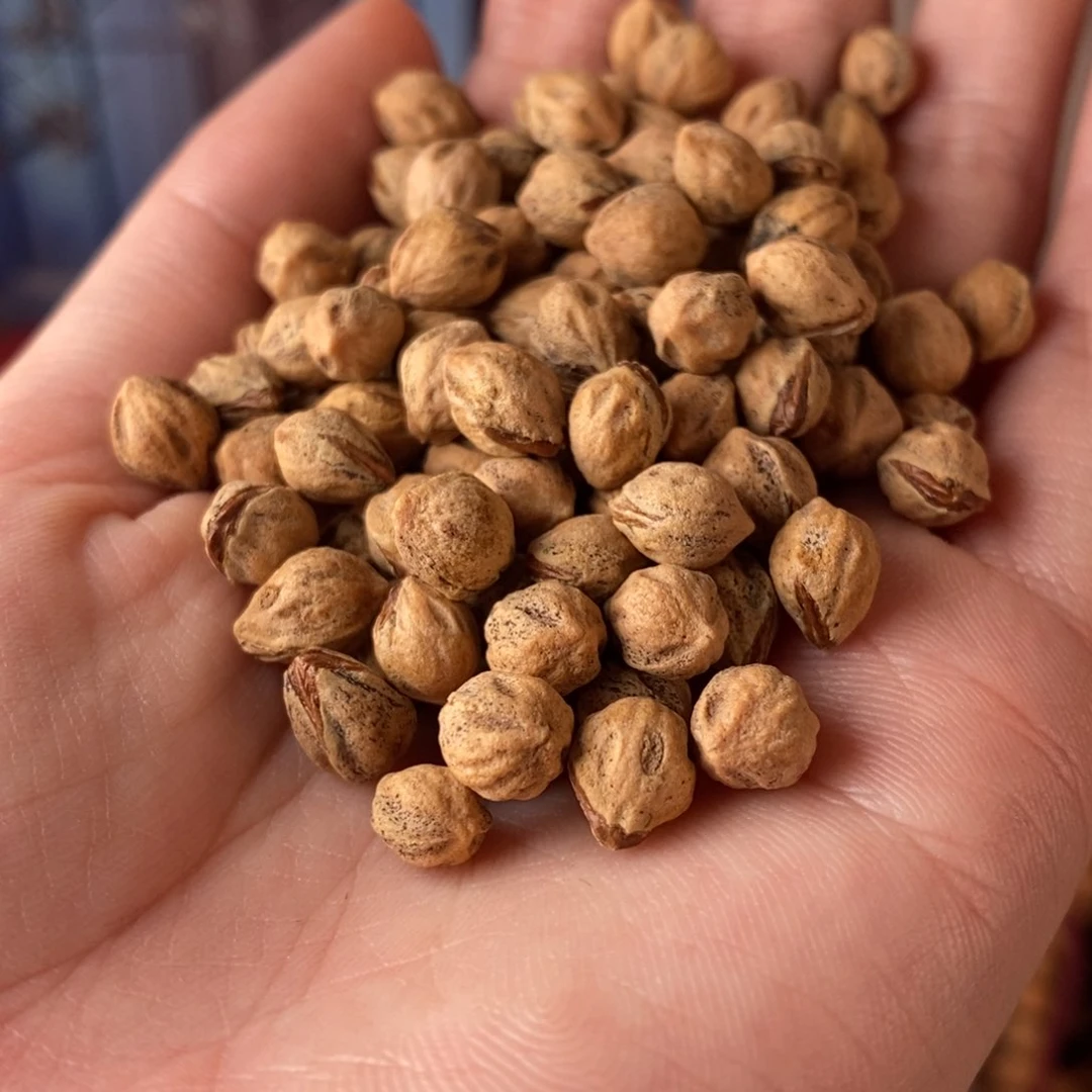 吊坠柏香籽/百香籽50