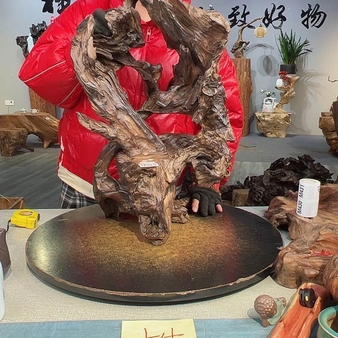 木祺428 hvjhjbjbjhjjjjbb