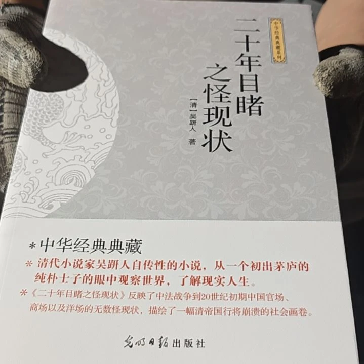 二十年目睹之怪现状