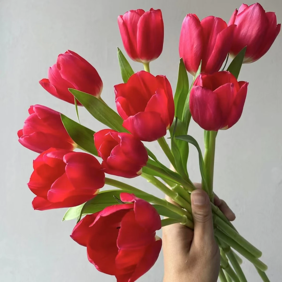 【方德】10枝方德朱雀郁金香（长度25cm左右）小花苞【两单京东或顺丰】