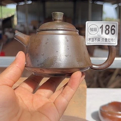戬谷龙窑柴烧茶壶186
