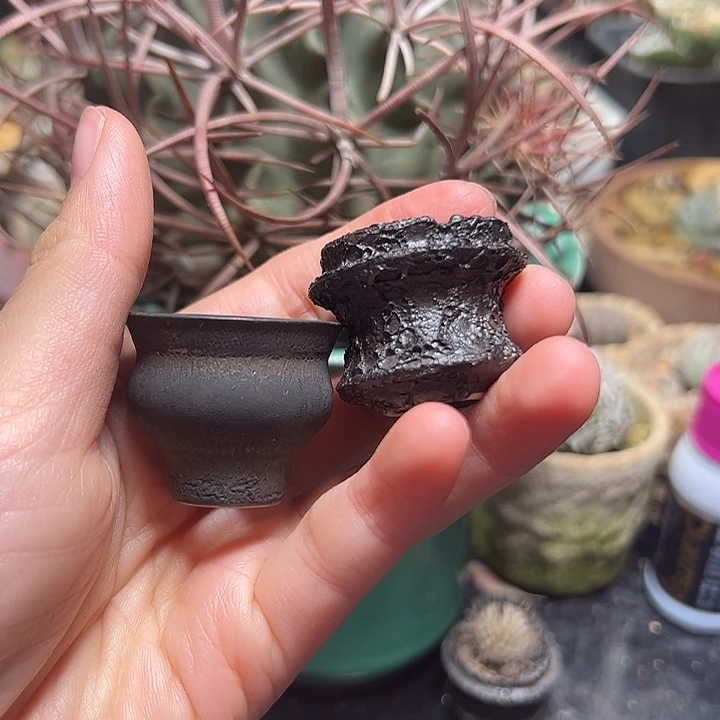 两个mini花盆哈哈哈