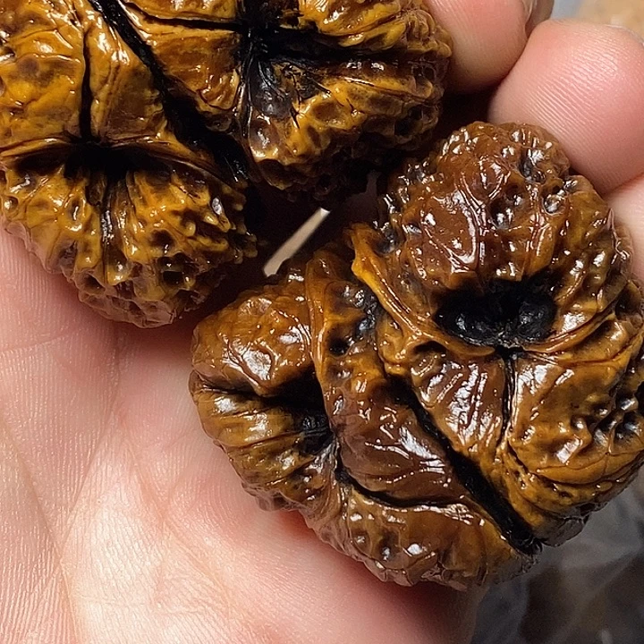 文玩核桃把件云南铁核桃1