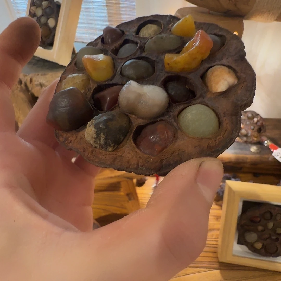 老了就不想了吗我的