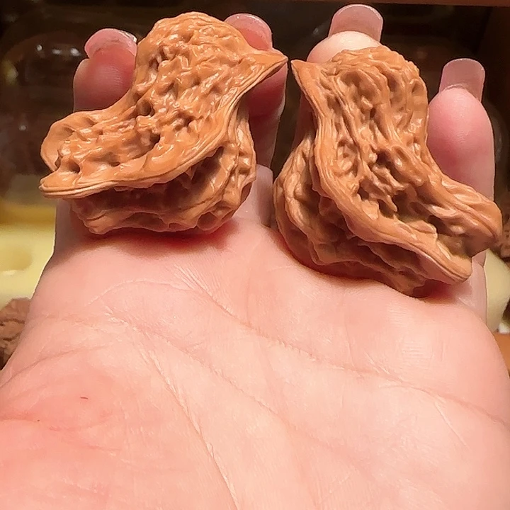 白***龙大叶紫檀（黑酸枝木类）