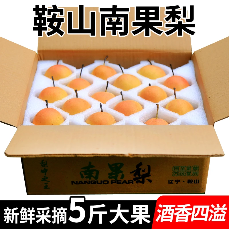 【正宗】鞍山南国梨新鲜采摘现货速发辽宁省