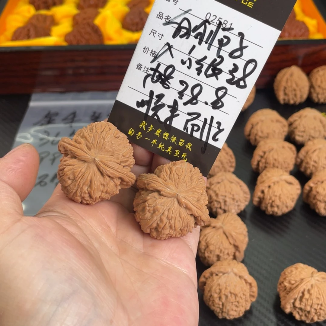 文玩核桃把件白狮子38入门