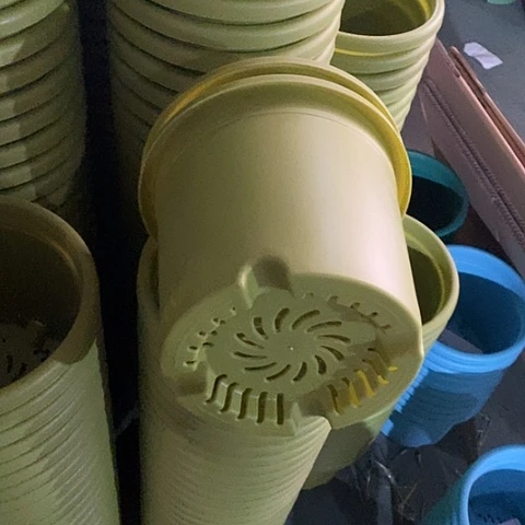 树脂四季3号果绿无托10个微瑕