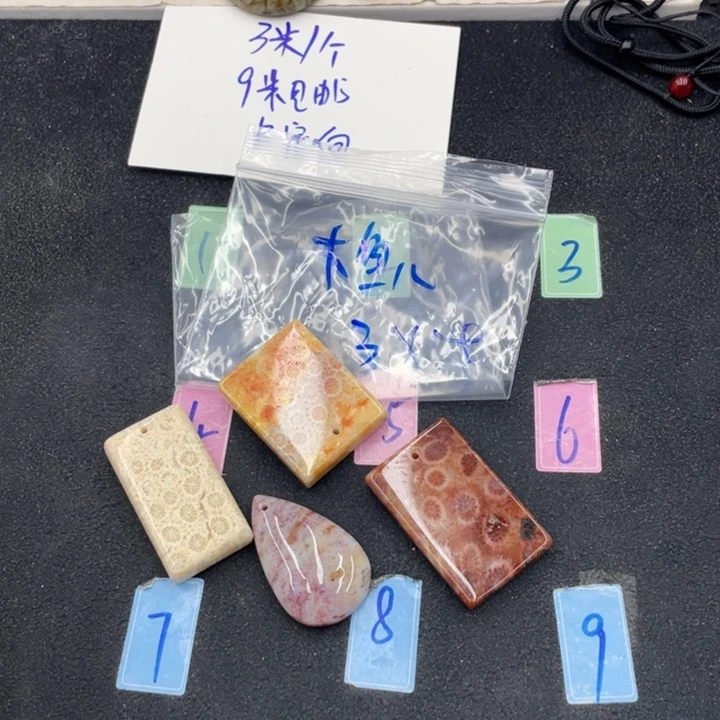 大***儿硅化珊瑚（珊瑚玉）合金颈饰