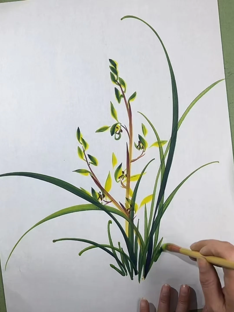 今日课稿示范画蕙兰的组图