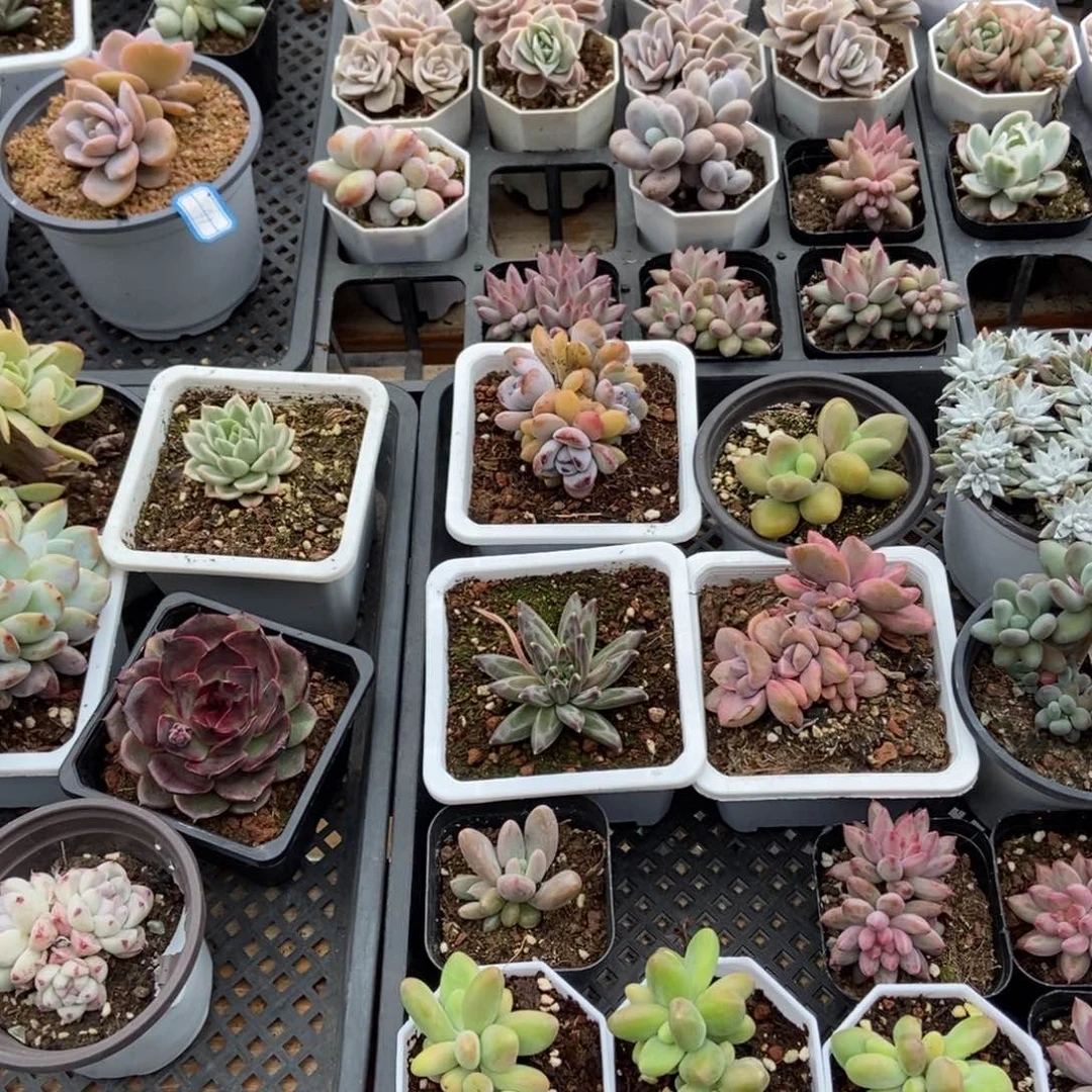 保温箱，低于零度拍