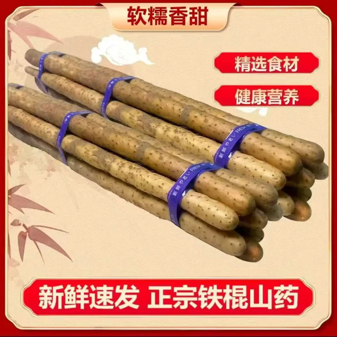 新鲜铁棍山药40-60厘米带箱五斤
