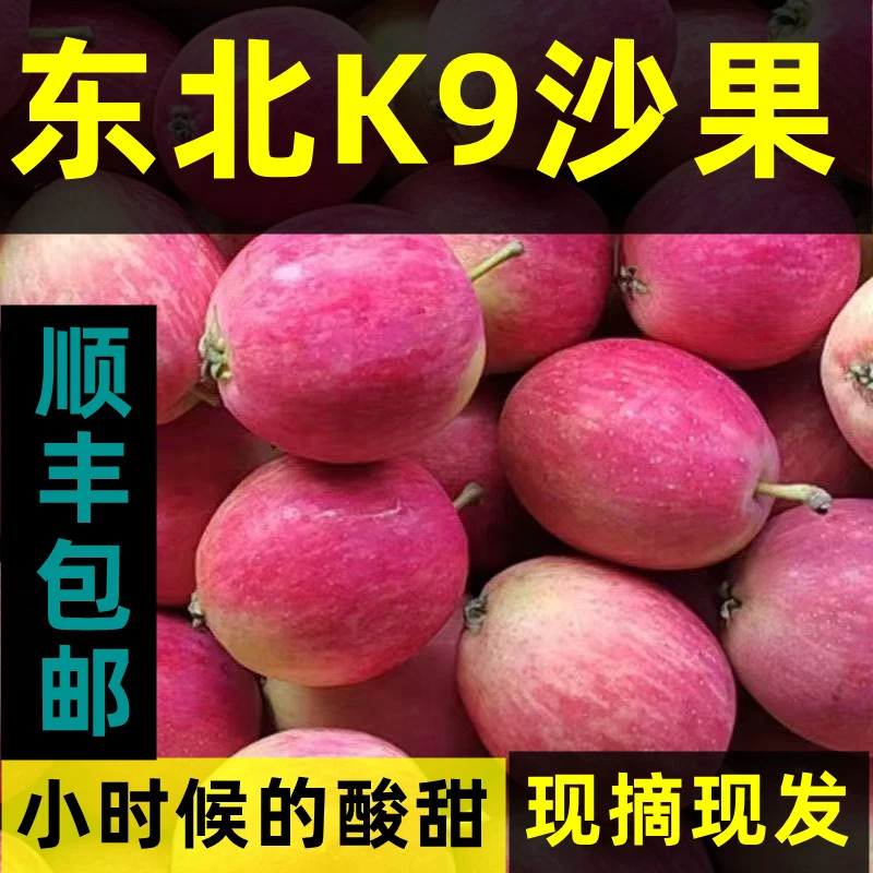 【顺丰包邮】东北特色K9沙果新鲜水果酸甜可口产地现采现发包邮
