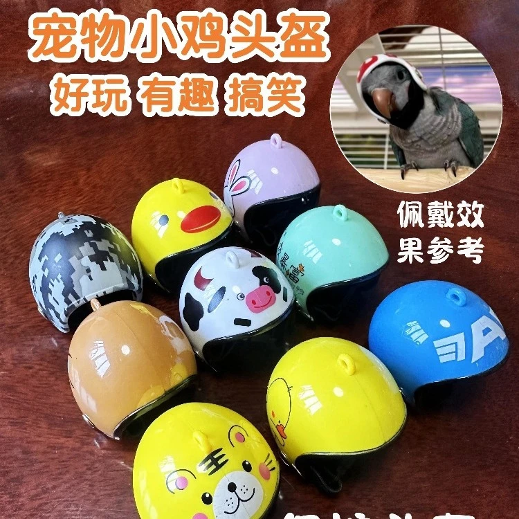 信鸽宠物鸽子鸡头盔搞笑安全保护头套鸡头安全帽鸟帽保护头盔
