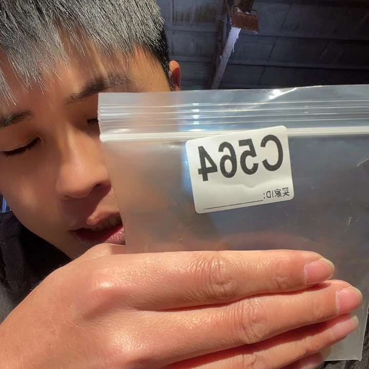 大果紫檀（缅甸花梨）564