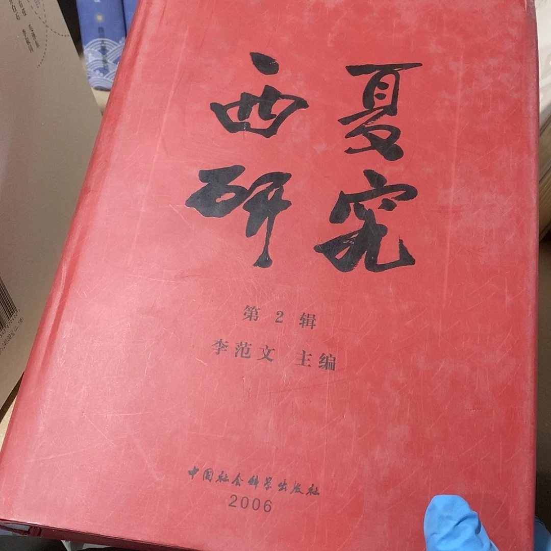 初***庐瑕疵 西夏研究2