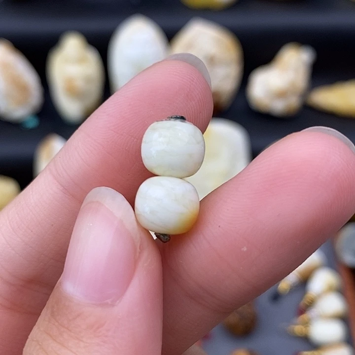 裸石琥珀未镶嵌8虎皮对珠b872