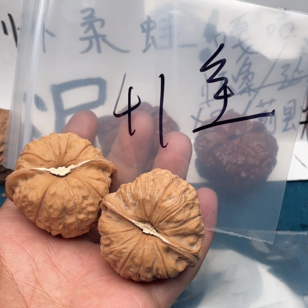 核桃W9466494693969369
