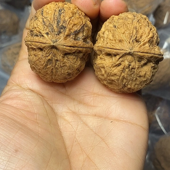 把件文玩核桃云南铁核桃36