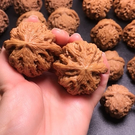 把件桃核文玩核桃粗筋