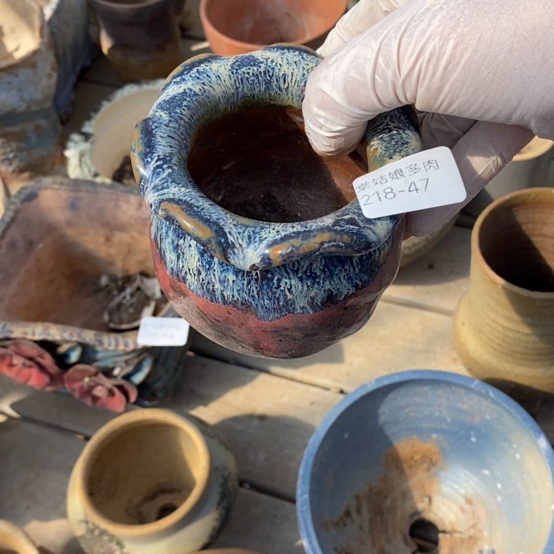 红陶*️****47号多肉盆一个呀