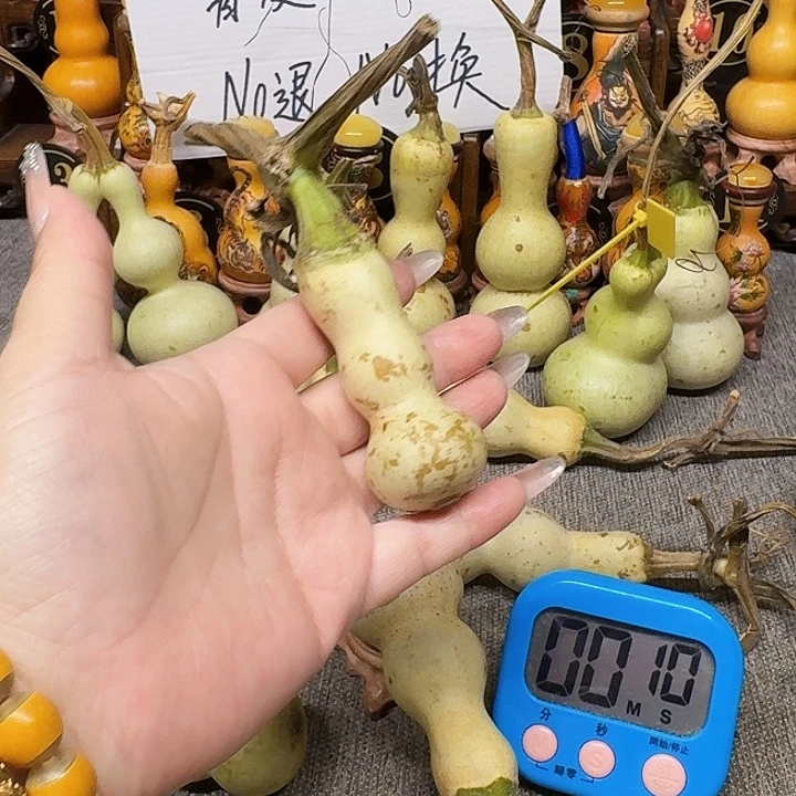 芝***忙地里都没有一分钱是