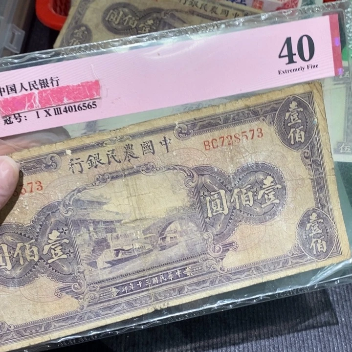 闪购链接88888888888881