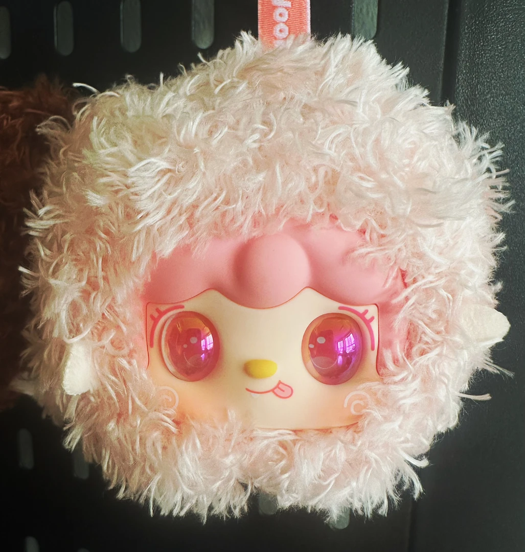 邮费补差专拍链接