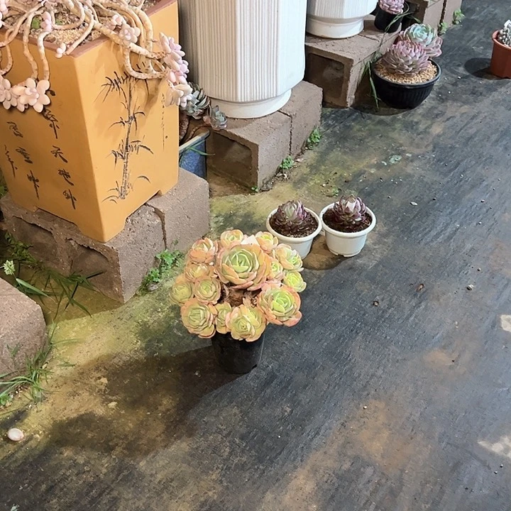 869///:::::://///////