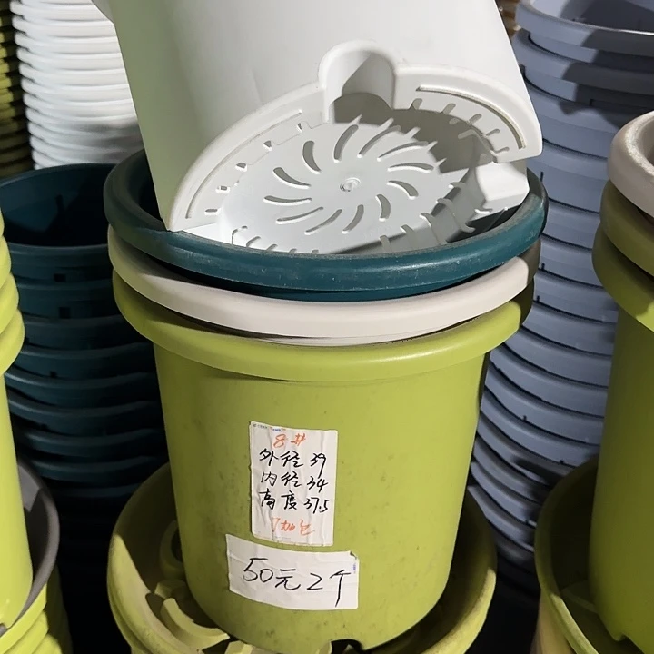 四季8#口径39果绿5个无托