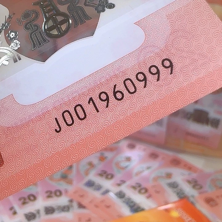 塑料倒置加尾0999单张蛇钞