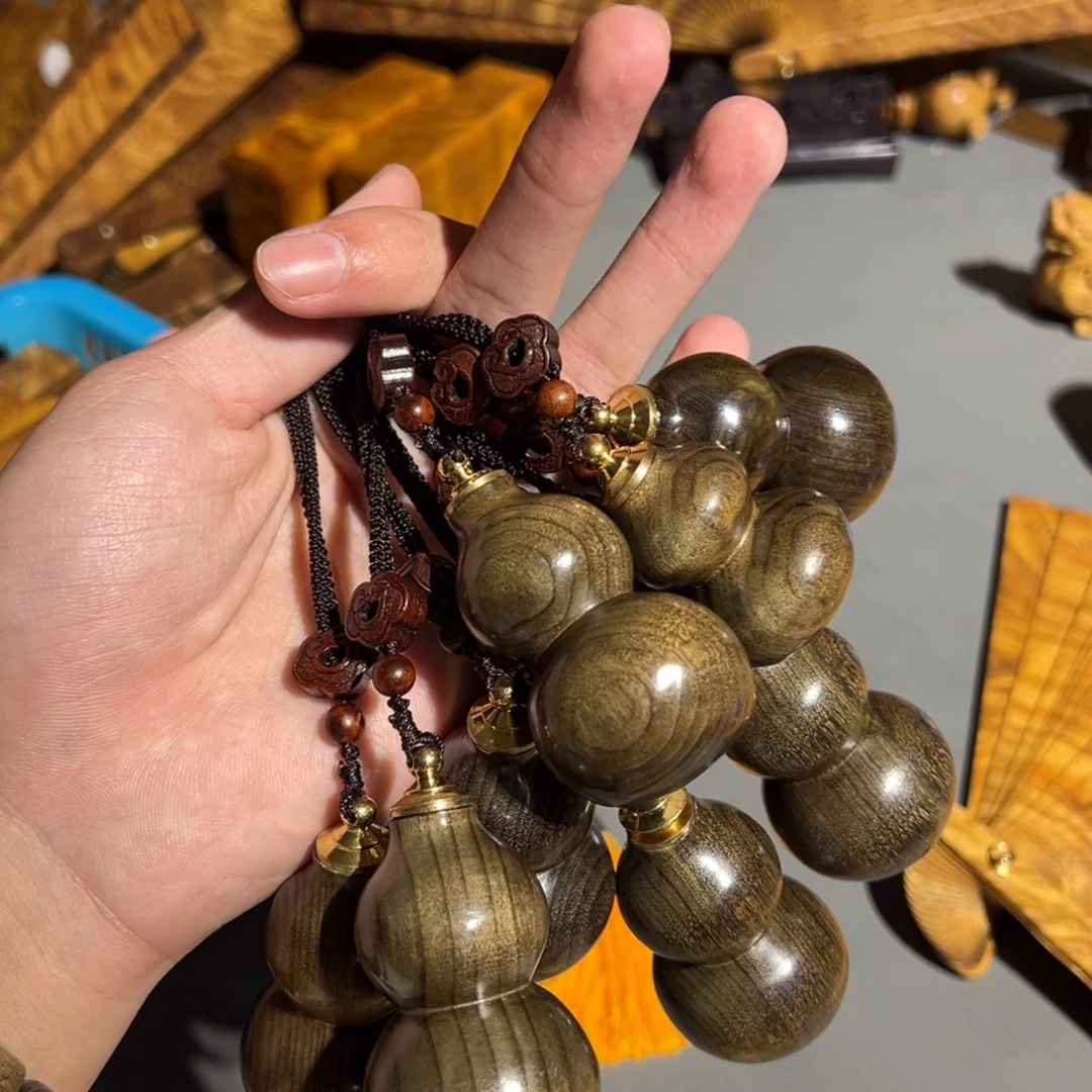 金丝楠重***豆金丝楠小叶桢楠