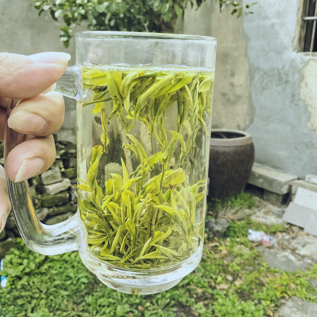 安徽歙县黄山毛峰原产地直发浓香耐泡兰花香口感醇厚鲜爽回甘