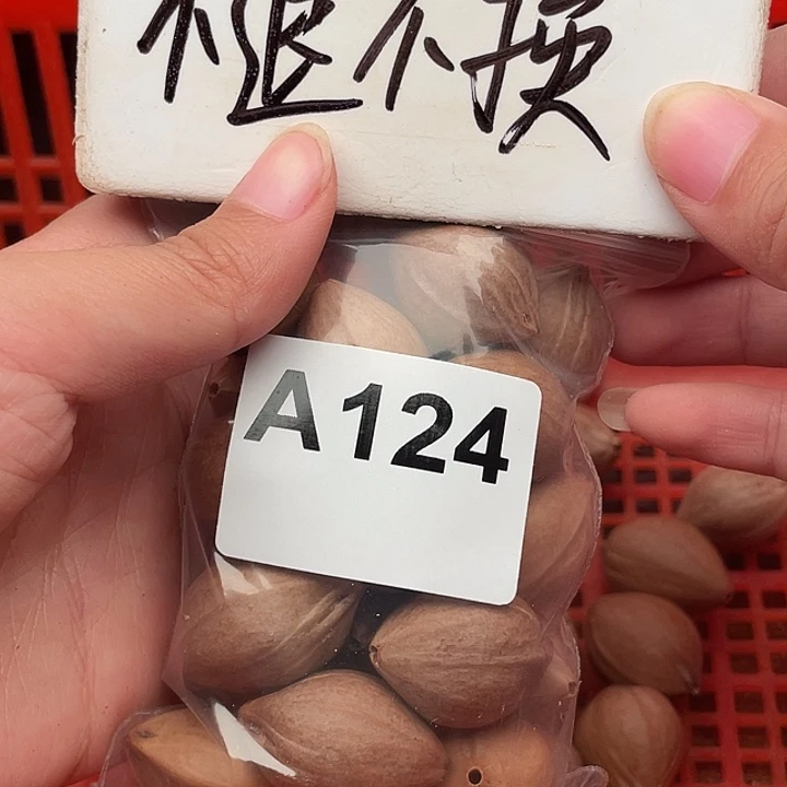 军***哥橄榄核手串/手链橄榄