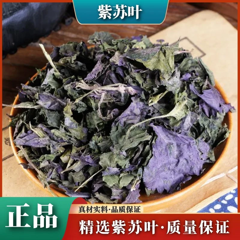 紫苏叶野生紫苏干货食用泡澡泡水喝苏子叶晒干散装叶菜250g-500g
