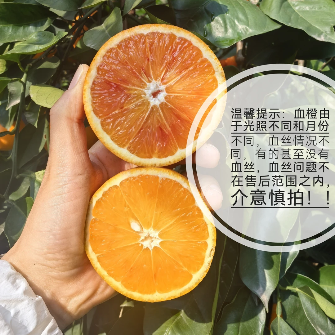 【奇香易果】四川塔罗科血橙细嫩多汁酸甜可口产地直发
