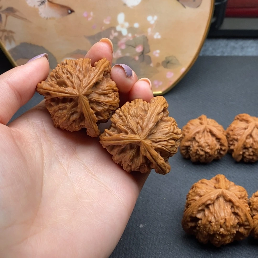 爱**来白狮子1111111111