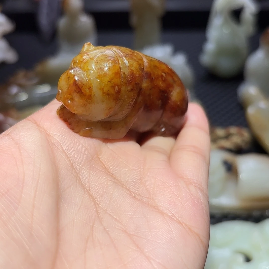 缸一物一图 所见所得