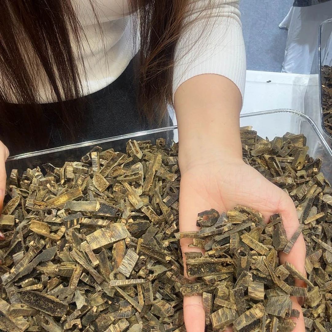 沉香碎屑沉香乌身圆叶沉水边角料100克