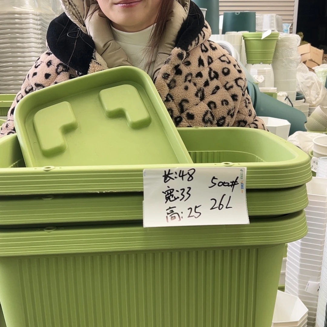 菜盆500#果绿3个（含托）