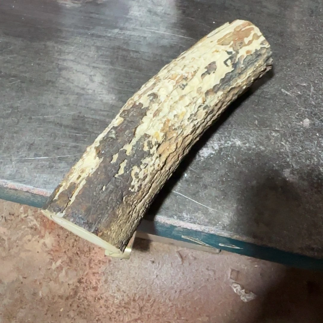 叨***人檀香木猛犸0.8老型单圈