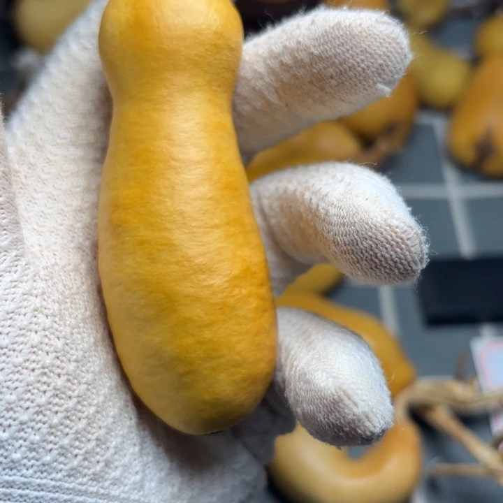 璞***緣6666666666666666